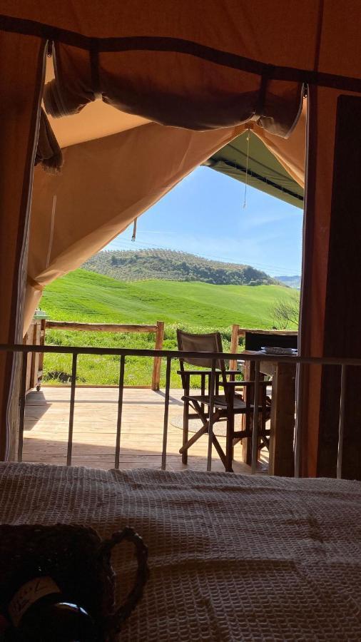 Tienda De Safari Almagro Hotell Montecorto Eksteriør bilde